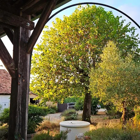 بيت ضيافة La Serva