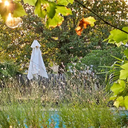 بيت ضيافة La Serva